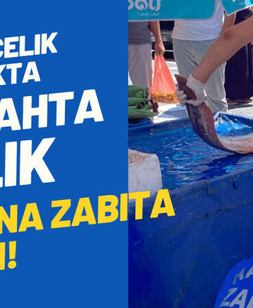 Mavi Dokulu Ekonomi Haberi Youtube Küçük Resmi_20250709_093821_0000