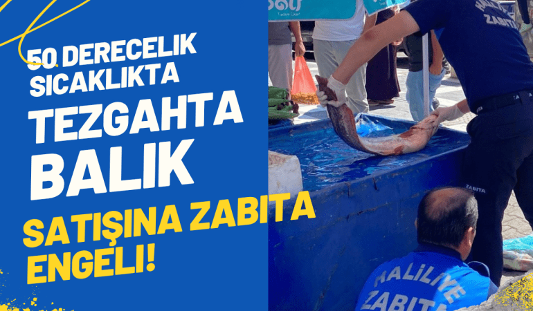 Mavi Dokulu Ekonomi Haberi Youtube Küçük Resmi_20250709_093821_0000