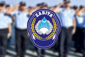 ZABITA-MEMUR-ALIMI-355x266