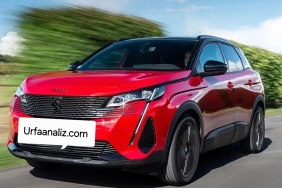 dCJDN_1669374858_9206