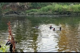 f-b-i-m-g-1753040162123