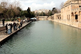 thumbs_b_c_9988347f9c2972871f1eab3857cbc338