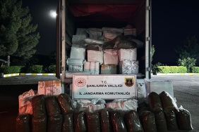 2beeb33b-9091-4ddd-9353-c1b1738a8593