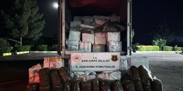 2beeb33b-9091-4ddd-9353-c1b1738a8593