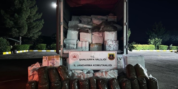 2beeb33b-9091-4ddd-9353-c1b1738a8593