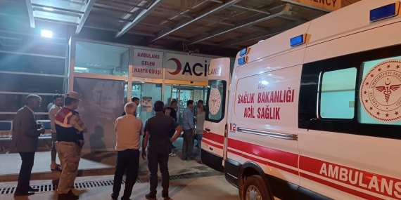 487462407-1588809092070609-7675213203155328466-n