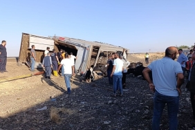 528043676-18322792486226564-5573326372199543128-n