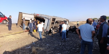 528043676-18322792486226564-5573326372199543128-n