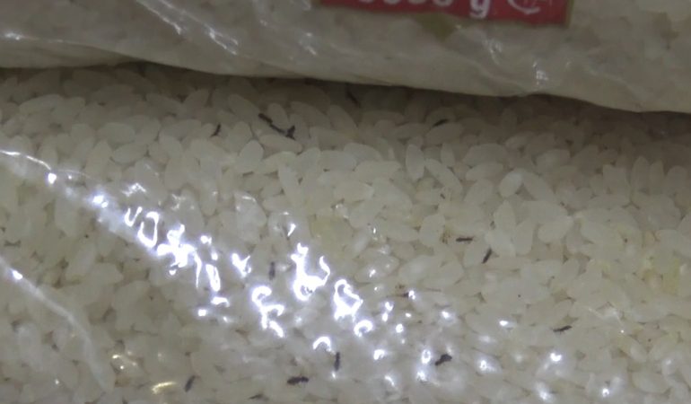 IMG-20250821-WA0100