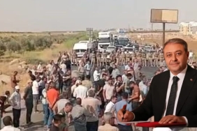 InShot_20250802_083319790