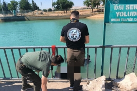 gs-ljz0-v-w-u-a-aopm-i