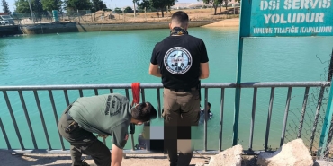 gs-ljz0-v-w-u-a-aopm-i