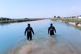 gx-w-u-y-ax-x-q-a-ahe40