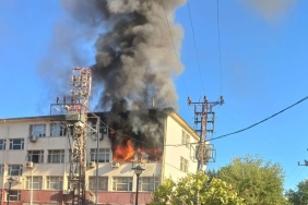 459cda03-6236-498b-8739-1c82688242cc