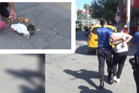 InShot_20250905_145241343