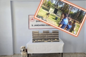 InShot_20250912_163034376