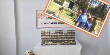 InShot_20250912_163034376