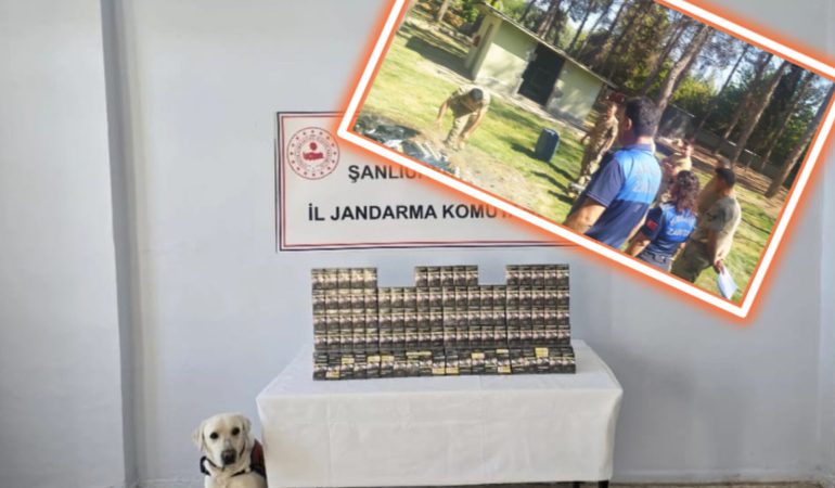 InShot_20250912_163034376