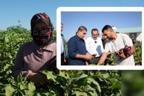 InShot_20250913_161046618