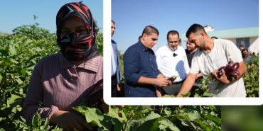 InShot_20250913_161046618