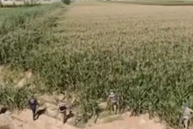 Screenshot_20250905_081518_Chrome