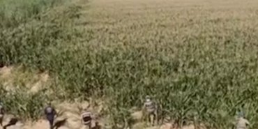 Screenshot_20250905_081518_Chrome