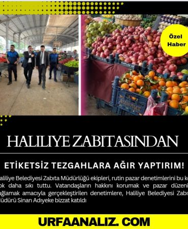 Screenshot_20250918_193356_Canva