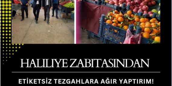 Screenshot_20250918_193356_Canva