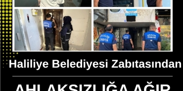 Screenshot_20250923_180446_Canva