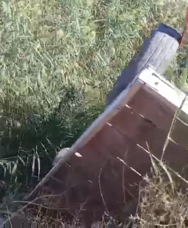 VID-20250914-WA0148