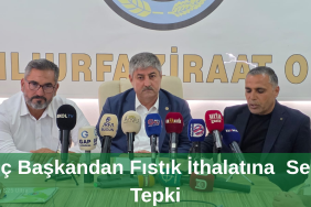 Yeşil modern sade youtube kapak youtube küçük resim_20250917_194244_0000