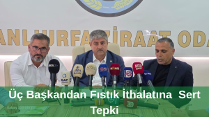 Yeşil modern sade youtube kapak youtube küçük resim_20250917_194244_0000