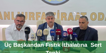 Yeşil modern sade youtube kapak youtube küçük resim_20250917_194244_0000