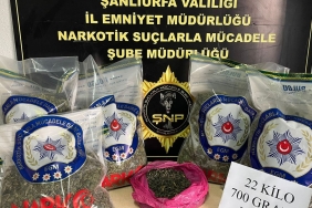 557628287-1344717847314582-782687200343637767-n