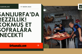 Gold ve Koyu Yeşil Modern Piyasa Raporu Haber Youtube Küçük Resmi_20251017_135313_0000