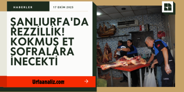 Gold ve Koyu Yeşil Modern Piyasa Raporu Haber Youtube Küçük Resmi_20251017_135313_0000