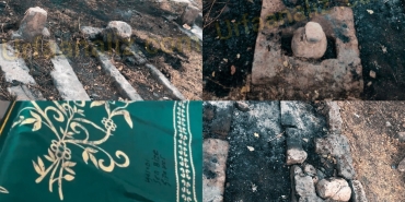 InShot_20251005_130033268