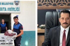 InShot_20251021_091501088