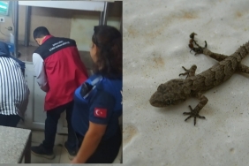 InShot_20251023_104611750