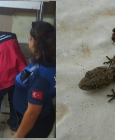 InShot_20251023_104611750