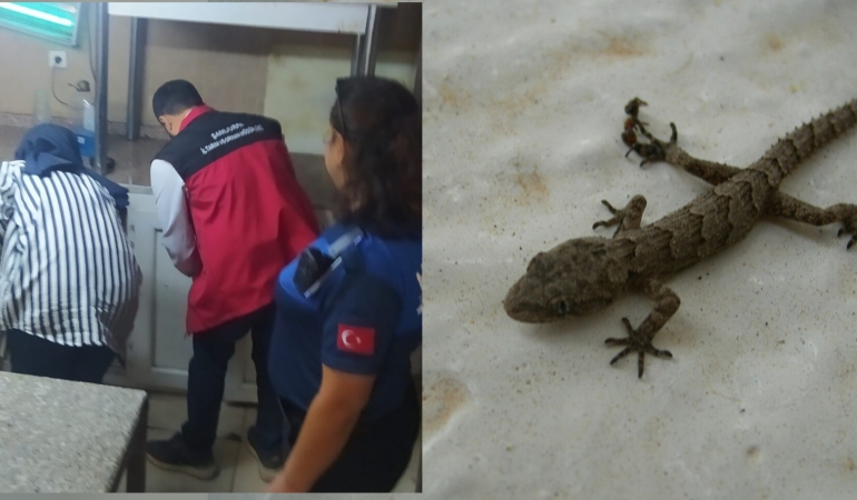 InShot_20251023_104611750