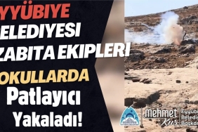 Screenshot_20251020_200908_Gallery