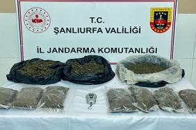 WhatsApp Image 2025-10-06 at 09.24.03