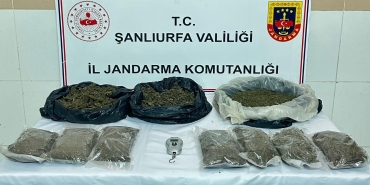 WhatsApp Image 2025-10-06 at 09.24.03