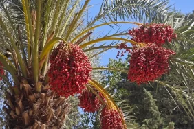 i-m-g-20251005-w-a0040