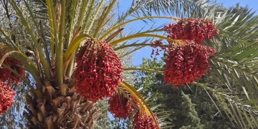 i-m-g-20251005-w-a0040