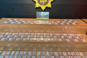 3ab74c83-e796-490f-991d-f942628d1c89