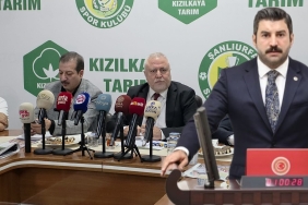 InShot_20251110_135643741