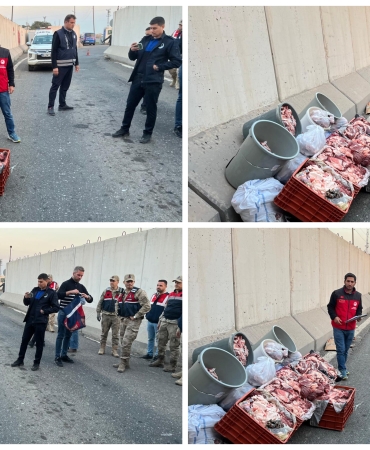 InShot_20251127_190656135