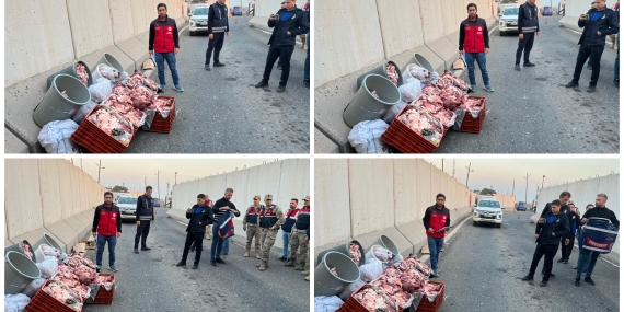 InShot_20251127_190656135